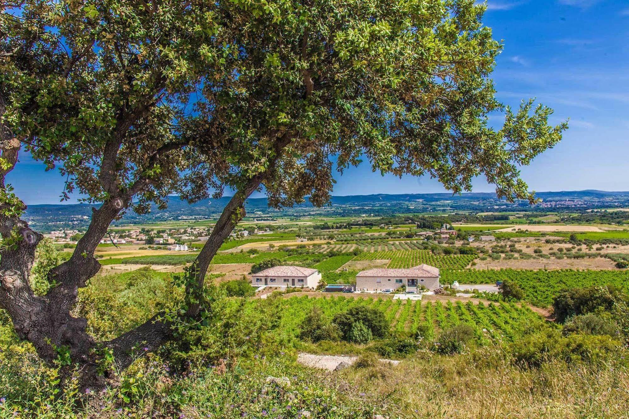 Chateau De Valloubiere Saint-Jean-de-Fos Kültér fotó