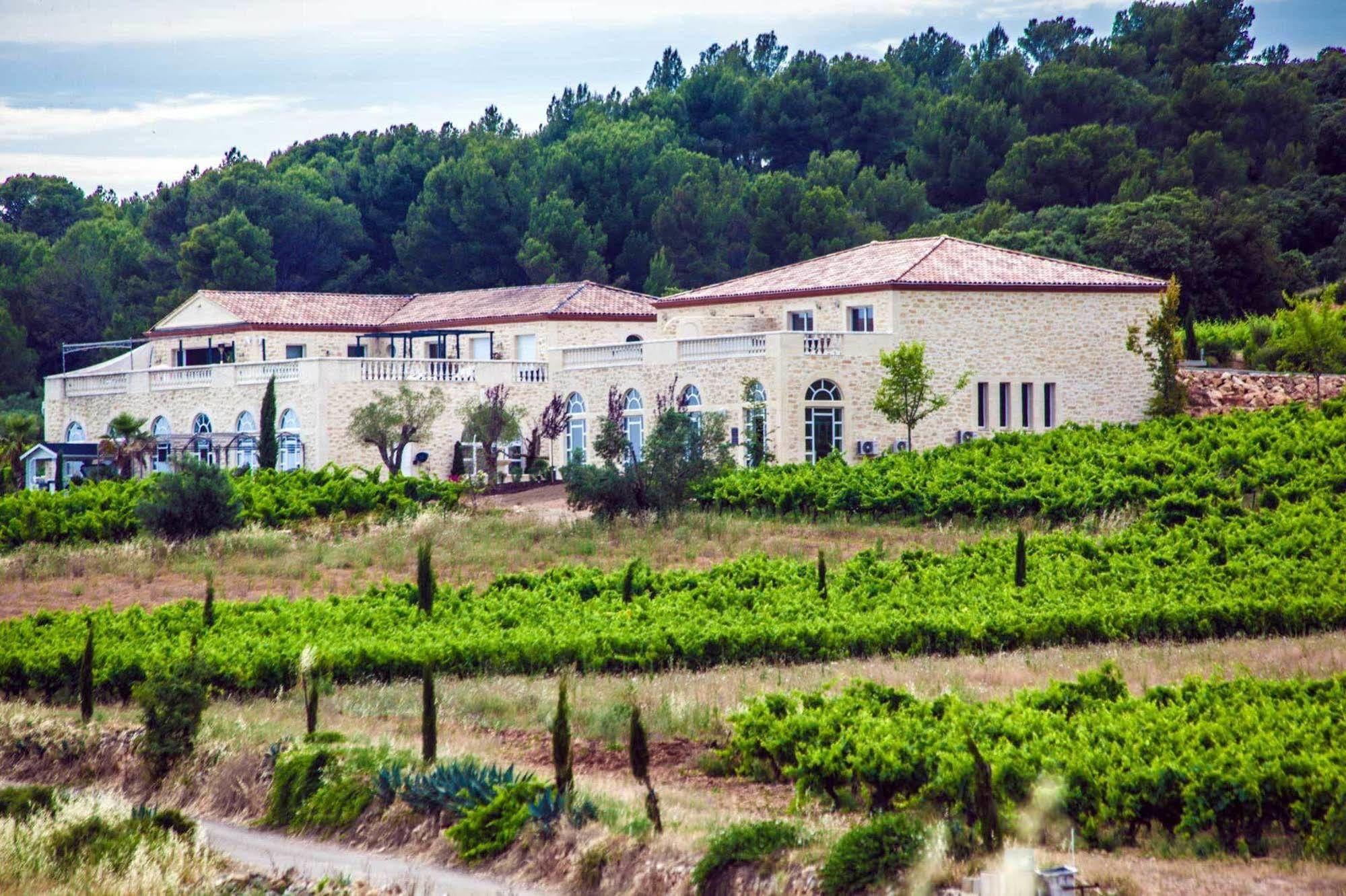 Chateau De Valloubiere Saint-Jean-de-Fos Kültér fotó